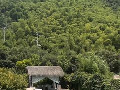 -莫干山风景区