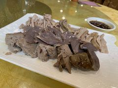 -姚林轩