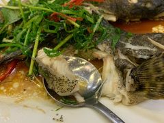 -天天海鲜城·海鲜大排档(新溪店)