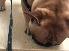 -安安宠医·安宠宠物医院