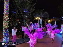 -三亚海昌梦幻海洋不夜城