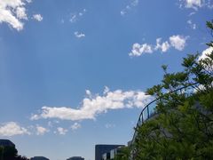 -静园(和平区)