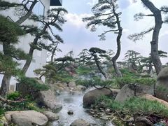 -罗红摄影艺术馆