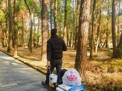 -东湖落雁景区