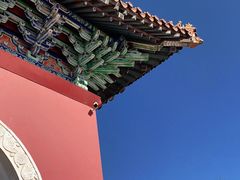 -北陵公园