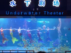 -泉城欧乐堡海洋极地世界