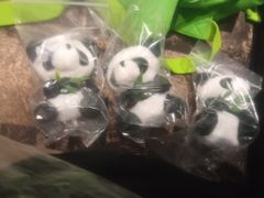 -红辣椒·川菜·火锅(大洋中心店)