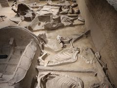 -洛阳周王城天子驾六博物馆