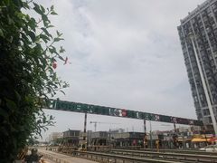 -海吉星市场