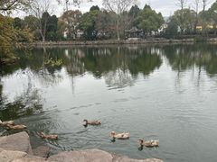 -台州府城(东湖)