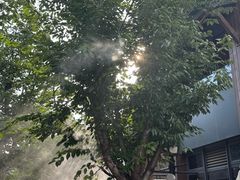 -长风拨筋养身(蟠龙天地店)