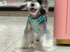 -FAELING PETS美天灵宠物(合生汇店)