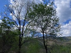 -鹫峰国家森林公园