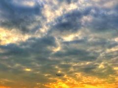 -宝安西湾红树林湿地公园