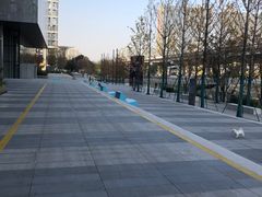 -MeetThai觅泰 ·泰式大排档(未来之光店)