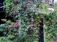 -西关84·History·Art·Cafe