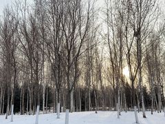 -长春世界雕塑园冰雪艺术天地