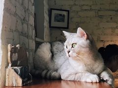 -不舍昼夜咖啡馆