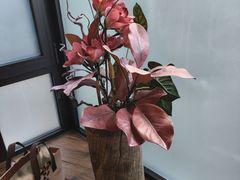 -花间一壶酒(桐荫街店)