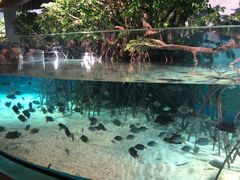 -福州罗源湾海洋世界旅游区