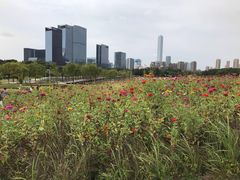 -白塘生态植物园