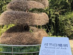 -苏州河梦清园环保主题公园