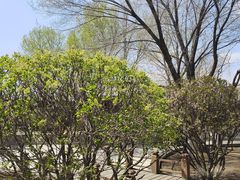 -纯阳宫(大同古城)