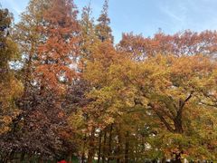 -八大关景区