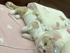 -拜鲁耶动物诊疗中心·宠家动物医院