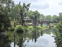 -黄龙溪古镇