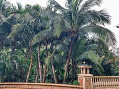-海口观澜湖火山温泉谷