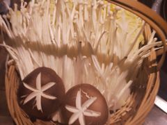 -同仁四季椰子鸡(福田车公庙店)