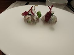 -觀芷隐轩