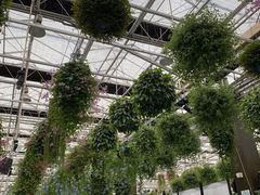 -常州花鸟园酒店(西太湖品牌优选店)