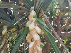 -白沙门生态公园