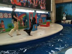 -成都浩海立方海洋公园