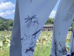 -刘伯温故里景区百丈漈