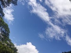 -深圳仙湖植物园