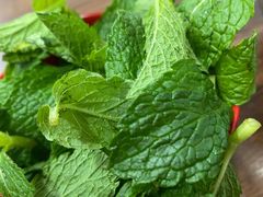 -攀枝花·任德琼·盐边羊肉米线