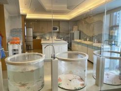 -和伊母婴护理中心·全套房(金山店)