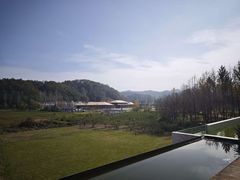 -千年银杏谷文化旅游区