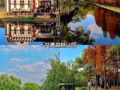 -外滩8号 whisky bar(金延大厦店)