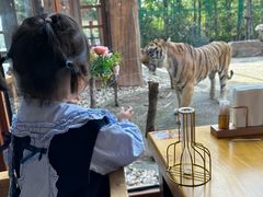 -上海野生动物园老虎餐厅