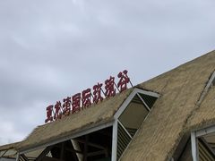 -亚龙湾国际玫瑰谷