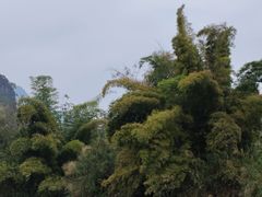 -明仕田园