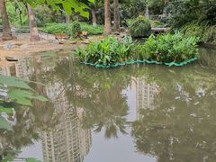 -苏州河梦清园环保主题公园