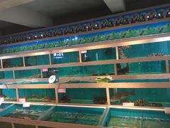 水产区-阿一会馆