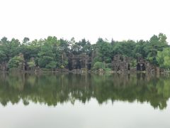 -上海鲜花港