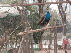 -陕西自然博物馆