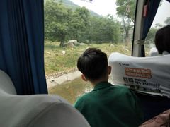 -西安秦岭野生动物园